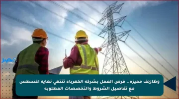 وظائف مميزة.. فرص العمل بشركة الكهرباء تنتهي نهاية أغسطس مع تفاصيل الشروط والتخصصات المطلوبة